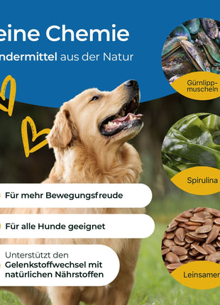 Hundpur® Gelenke mit Grünlippmuschel