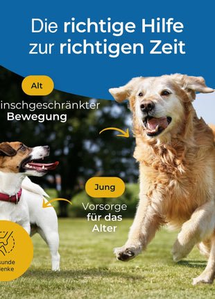 Hundpur® Gelenke mit Grünlippmuschel