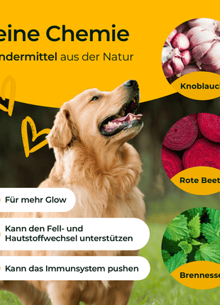Hundpur® Haut und Fell