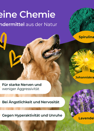 Hundpur® Nerven mit Glückskomplex
