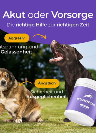Hundpur® Nerven mit Glückskomplex