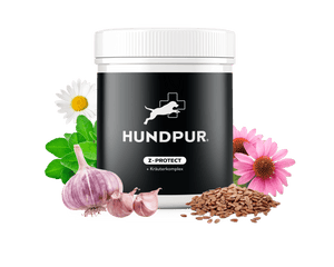 Collection image for: Hundpur