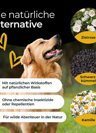 Hundpur® Z-Protect mit Kräuterkomplex