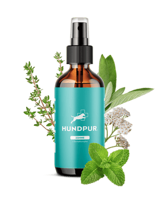 Hundpur® Dentalspray für Hunde