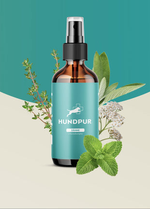 Hundpur® Dentalspray für Hunde