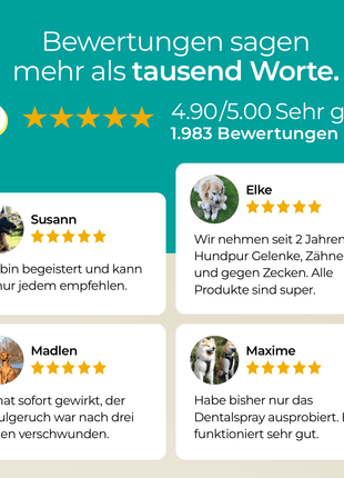Hundpur® Dentalspray für Hunde
