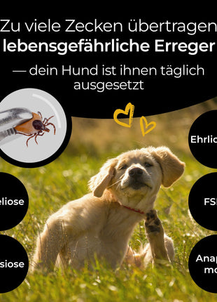 Hundpur® Zeckenschutz