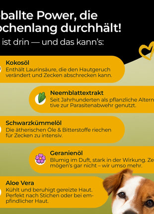 Hundpur® Zeckenschutz