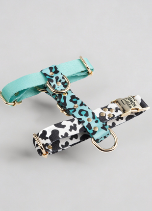 Hundegeschirr Aqua-Camo