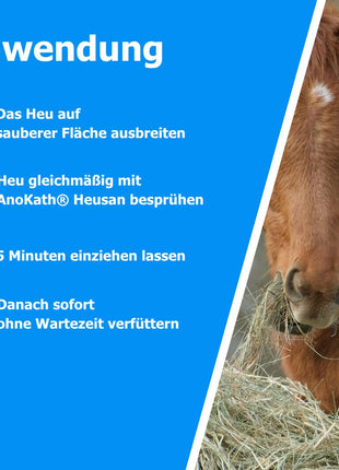 Heu desinfizieren mit AnoKath® heuSan | Schimmel & Staub stoppen