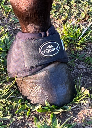Hufglocken Bell Boots