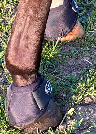 Hufglocken Bell Boots