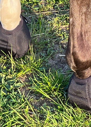 Hufglocken Bell Boots