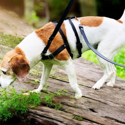 Anti-Stress-Geschirr STURMFREI® Saver für kleine bis mittlere Hunde