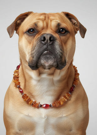 Dog amber necklace with jasper and agate, length 51cm