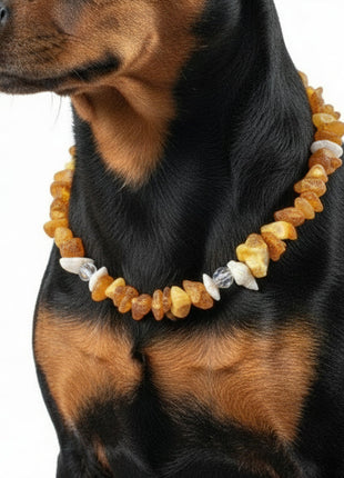Amber necklace for dogs with Swarovski and shells, length 23 cm