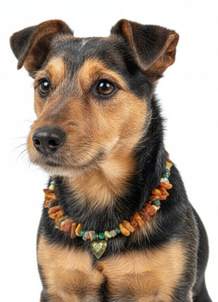Hunde Bernsteinkette mit Edelsteinen Herzchen Länge 34cm