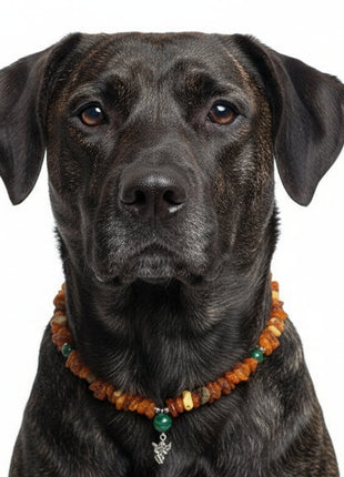 Hunde Bernsteinkette mit Malachit Engel Länge 47cm