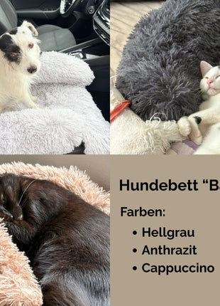 Hundebett "Balu" kuschelig weiche & waschbare Auflage – mit hohem Rand für Auto & Sofa