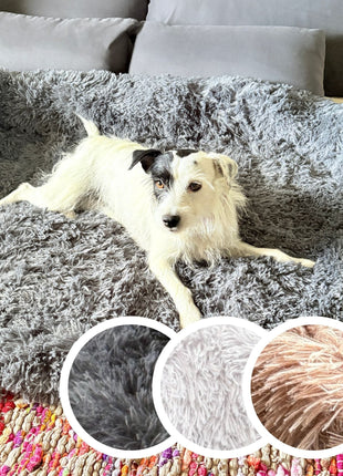 Hundebett "Balu" kuschelig weiche & waschbare Auflage – mit hohem Rand für Auto & Sofa