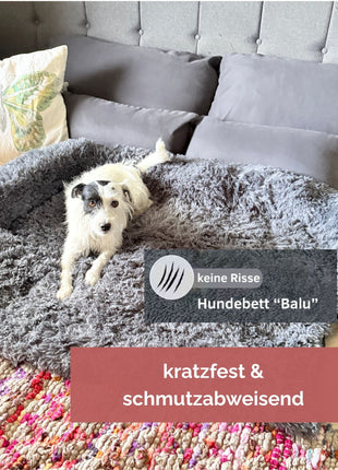 Hundebett "Balu" kuschelig weiche & waschbare Auflage – mit hohem Rand für Auto & Sofa