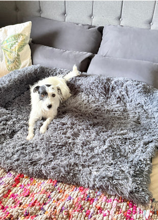 Hundebett "Balu" kuschelig weiche & waschbare Auflage – mit hohem Rand für Auto & Sofa