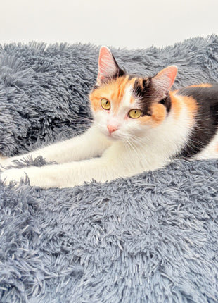 Hundebett "Balu" kuschelig weiche & waschbare Auflage – mit hohem Rand für Auto & Sofa