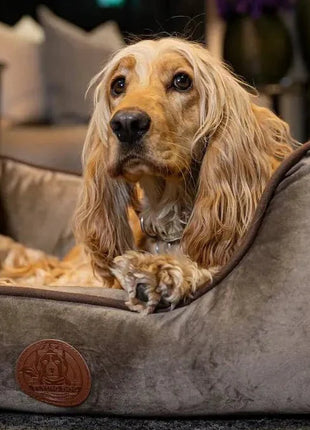 Hundebett Henri