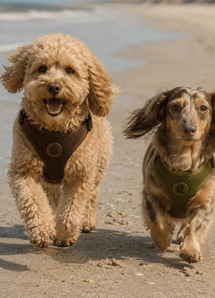 Hundegeschirr FORM – Premium