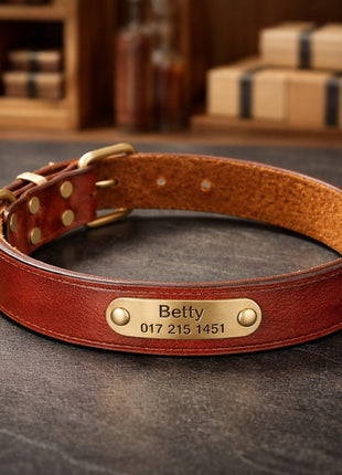 Leder Hundehalsband mit goldfarbener Marke, Gravur Name und Telefon