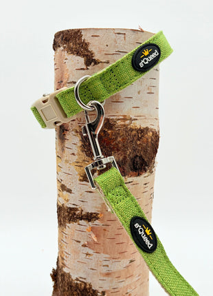 Hundehalsband-Set "Hempy" - Halsband + Leine + gravierte Hundemarke