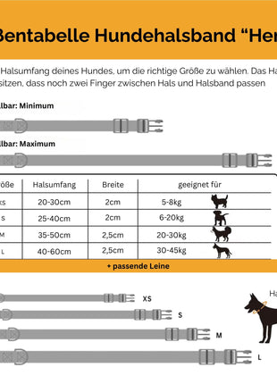 Hundehalsband-Set "Hempy" - Halsband + Leine + gravierte Hundemarke