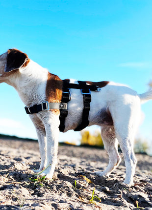 Anti-Stress-Geschirr STURMFREI® Saver für kleine bis mittlere Hunde