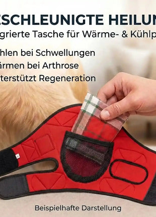 Liegeschwielen Bandage für Hunde