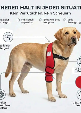 Liegeschwielen Bandage für Hunde
