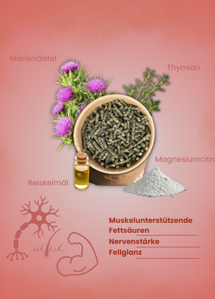 Krähenbusch® Mineralfutter Sport