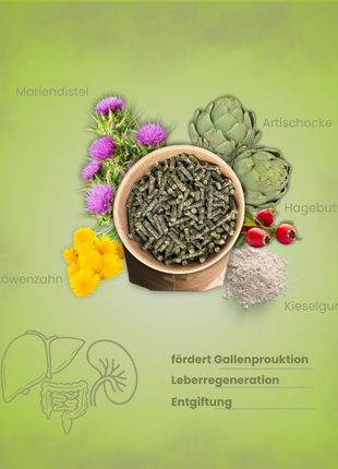Krähenbusch® Mineral Stoffwechsel
