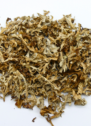 Isländisch Moos Pferd 1kg