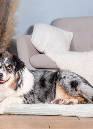 Hundeliegematte JOKKMOKK Cord