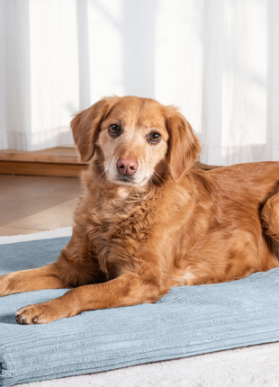 Hundeliegematte JOKKMOKK Cord