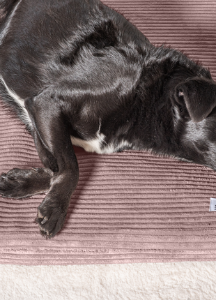 Hundeliegematte JOKKMOKK Cord