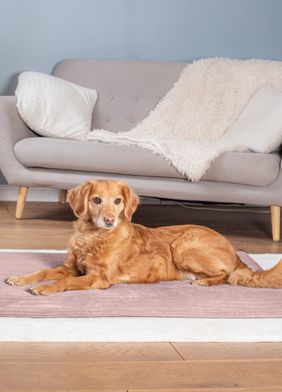 Hundeliegematte JOKKMOKK Cord