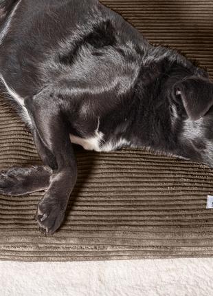 Hundeliegematte JOKKMOKK Cord