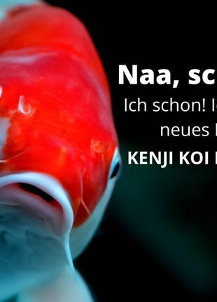 KENJI KOI Daily Koi Food - Für die ganze Saison