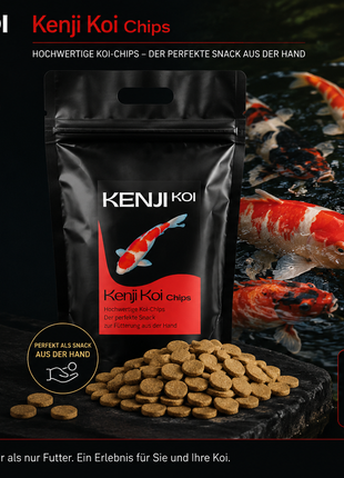 KENJI KOI Snack – Chips