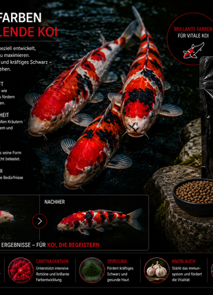 KENJI KOI Color Intense 5kg