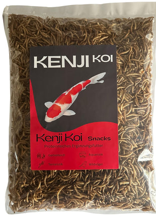 KENJI KOI Snack - Mehlwürmer