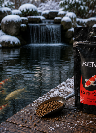 KENJI KOI Winter Balance - sinkend