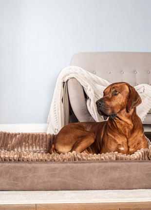 Hundebett KUDDE veganes Wildleder