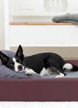 Kuschelbundle | KUDDE + Schmusehörnchen Alltid